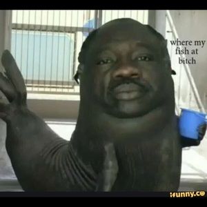 Meet your Posher, Isaac